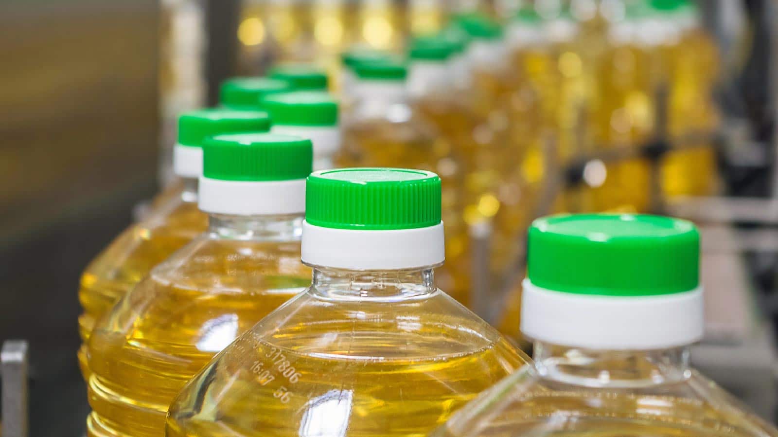 Sector Alimentos Bebidas Andersen Global Colombia